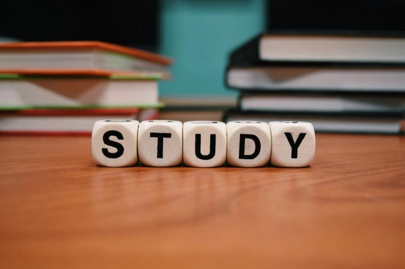 The Education Lie: What School Never Taught You About Success