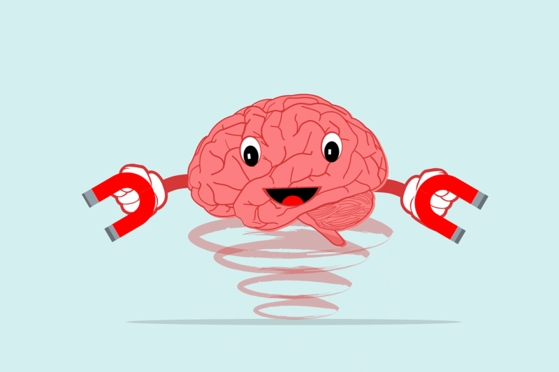 Upgrade Your Brain, Boost Your Wallet